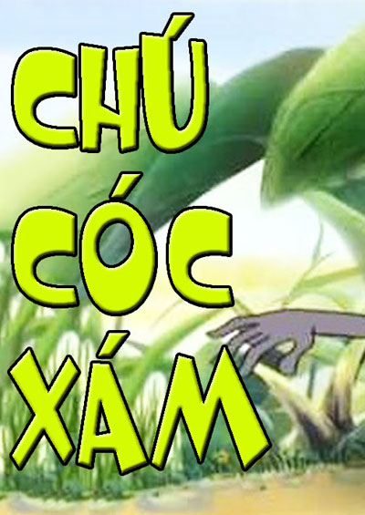 Chú Cóc Xám